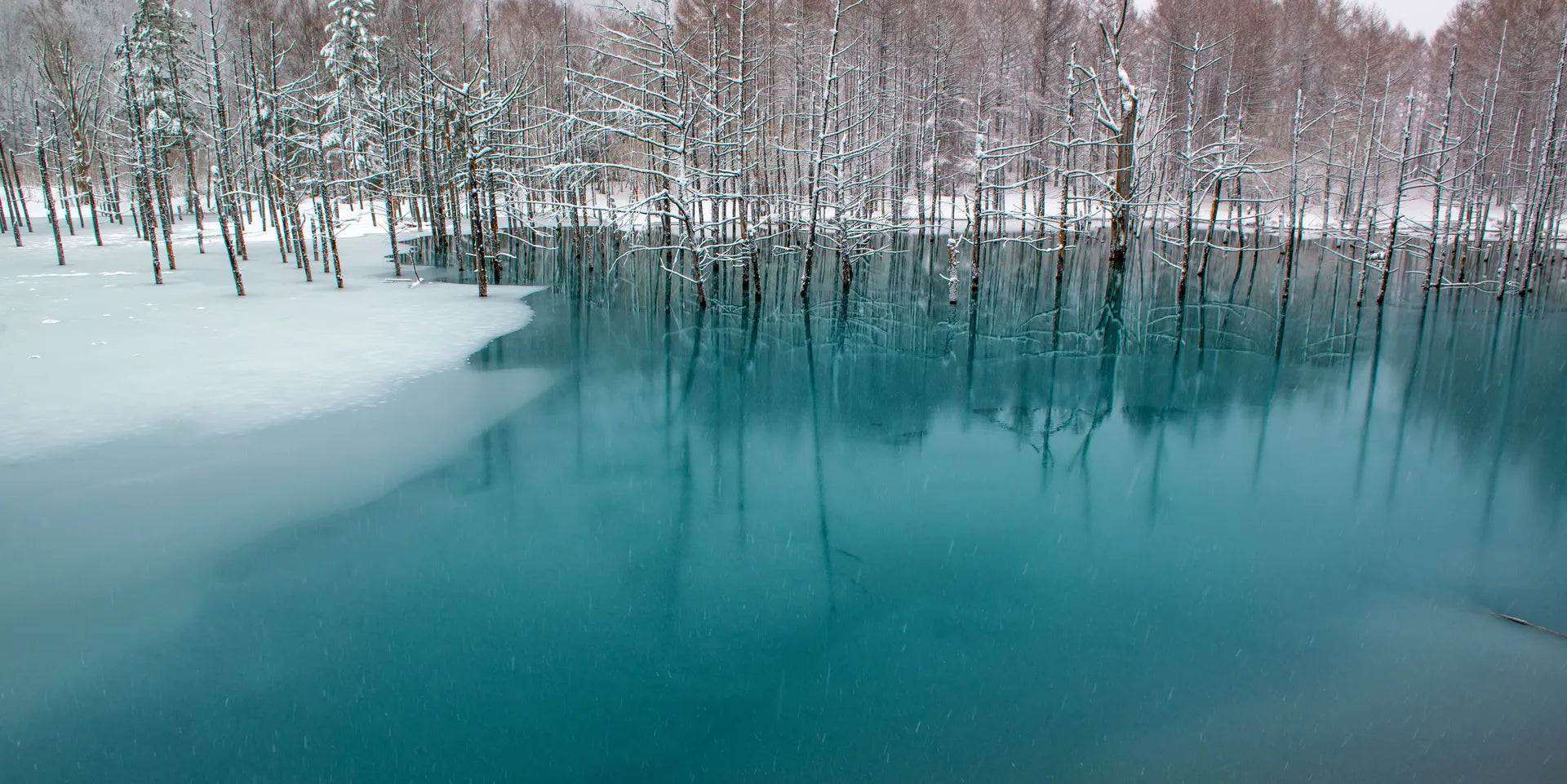 Furano