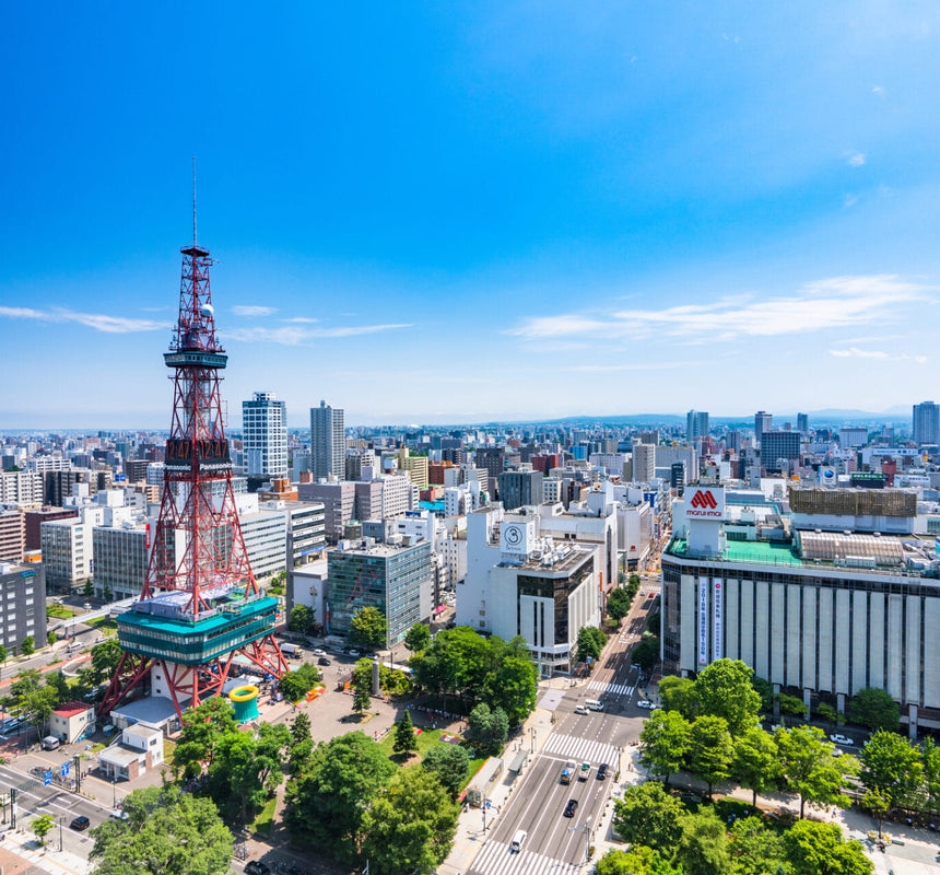 Sapporo | Private Vehicle & Guide Tour 1