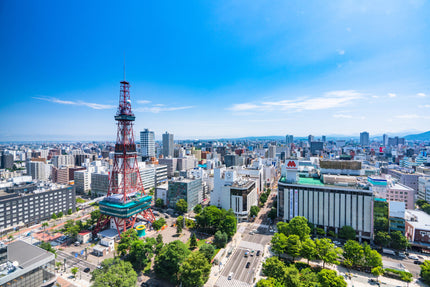 Sapporo City Full-Day Private Guided Tour (Vehicle & English-Speaking Guide)