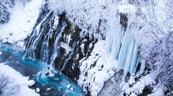 From Sapporo | Furano, Biei & Asahikawa Private Day Tour by Car with Guide 8