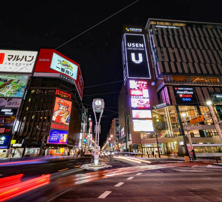 Sapporo | Private Vehicle & Guide Tour 2