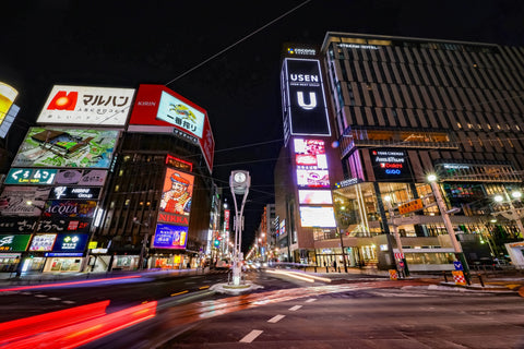 Sapporo | Private Vehicle & Guide Tour 2