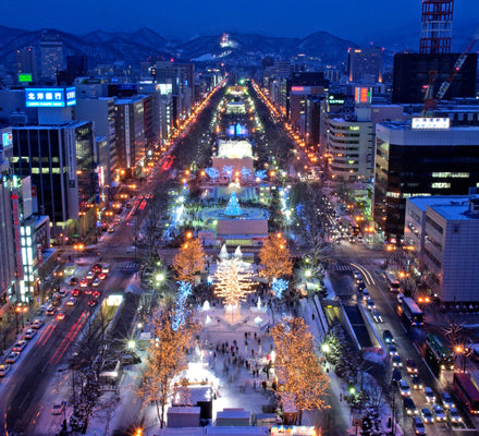 Sapporo | Private Vehicle & Guide Tour 5