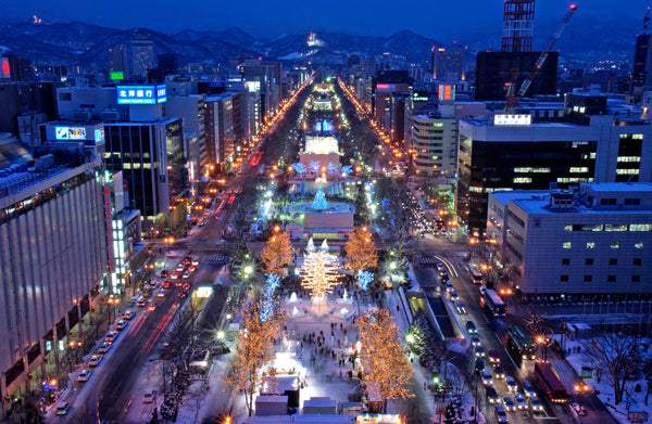 Sapporo | Private Vehicle & Guide Tour 5