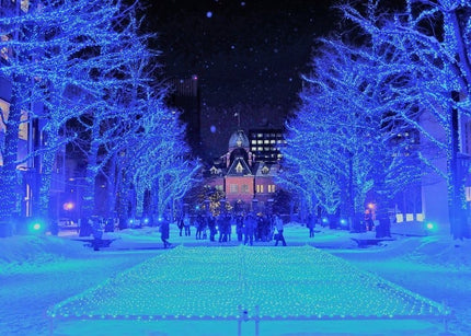 Furano: Private Transfer to/from New Chitose Airport (Flat Rate)