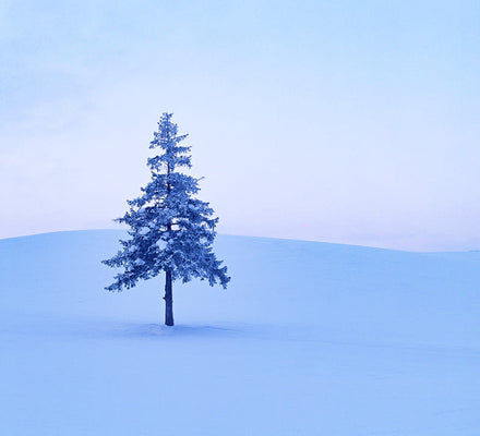 From Sapporo | Lake Toya & Noboribetsu Private Day Tour by Car with Guide 5