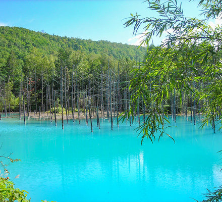 From Sapporo | Lake Toya & Noboribetsu Private Day Tour by Car with Guide 4