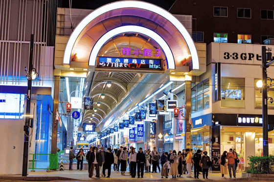 Sapporo | Private Vehicle & Guide Tour 8