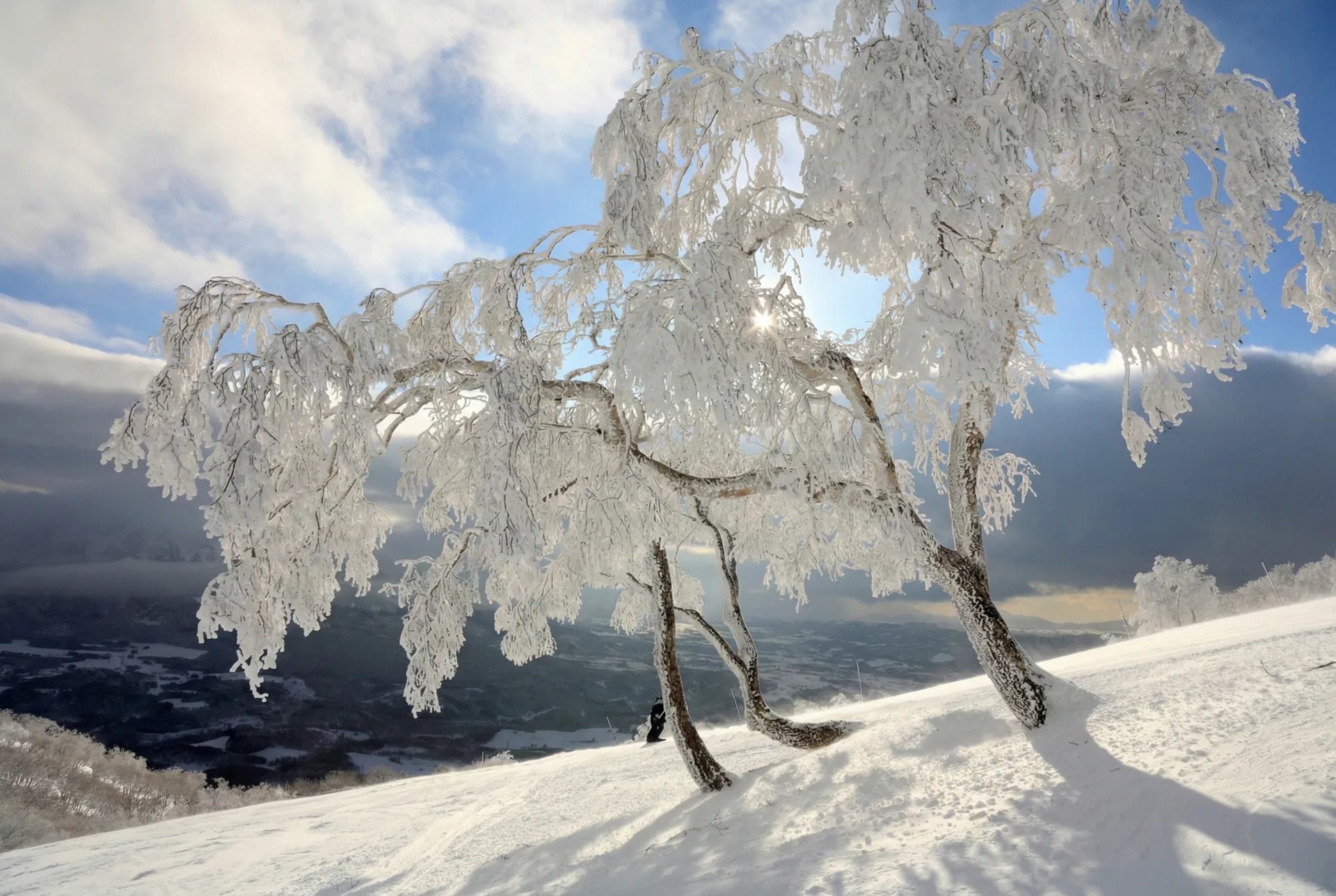 Niseko